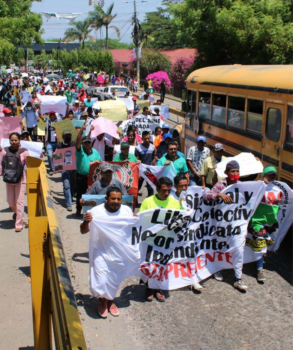 Honduran%20Melon%20Workers%20Demand%20Labor%20Rights.jpg