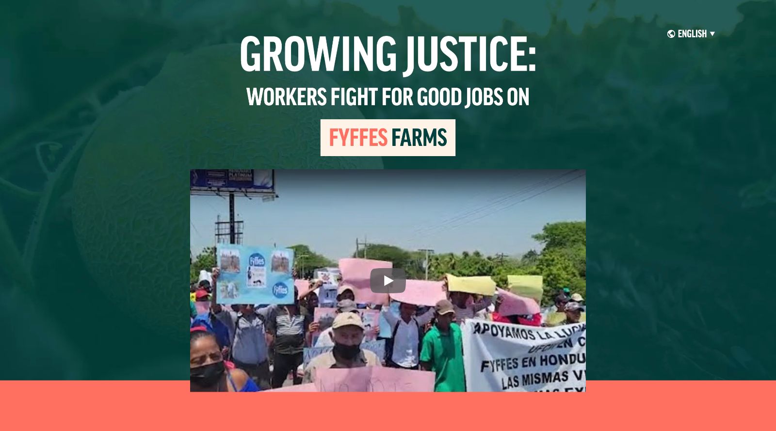 Fyffes%20screenshot.jpg